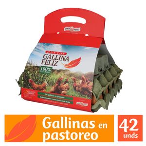 Huevos A GALLINA FELIZ rojo (42 und)